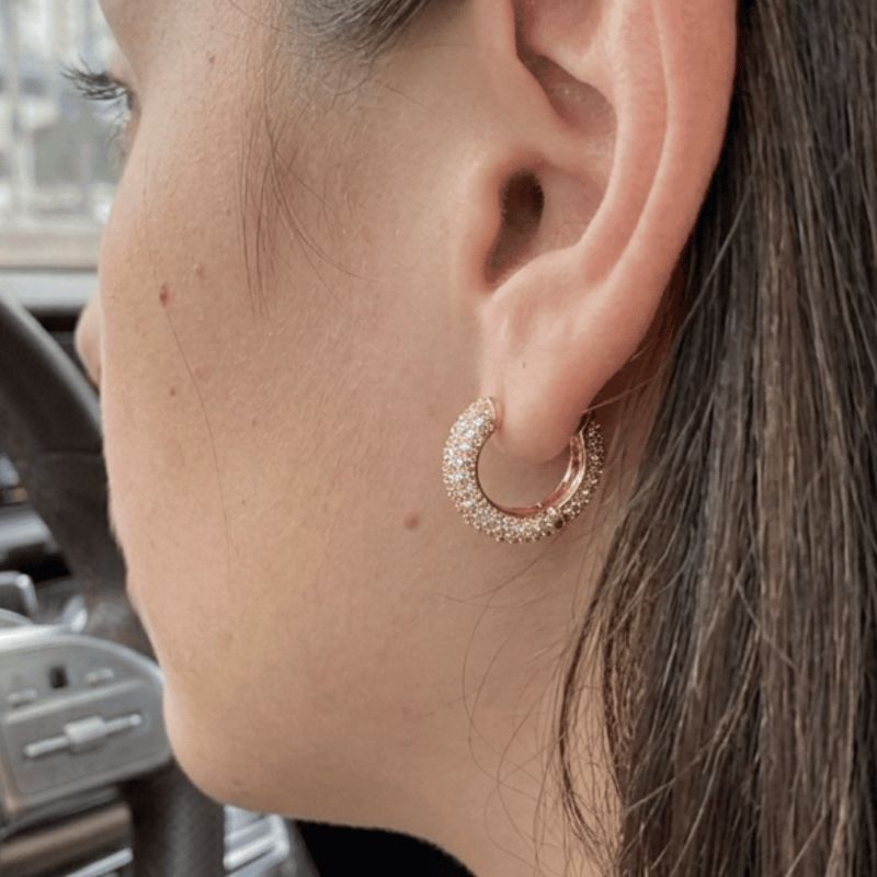 Brinco Argola Cravejada Média Florescer Banhado A Ouro 18k